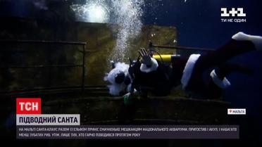 Новости мира: на Мальте Санта-Клаус в гидрокостюме угощал жителей национального аквариума