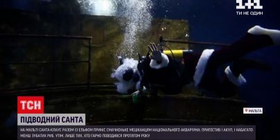 Новости мира: на Мальте Санта-Клаус в гидрокостюме угощал жителей национального аквариума