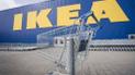 IKEA почала аудит після звинувачень про виготовлення меблів з вирубаної у Карпатах деревини