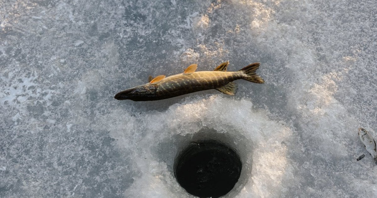 Календарь рыбака на февраль 2026 года