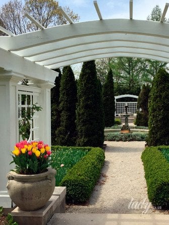 Топ-8 елементів саду, які можуть підвищити вартість вашого дому під час продажу