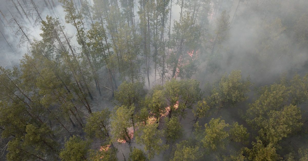 Пожар в Чернобыльских лесах усиливается: NASA опубликовала фото из космоса