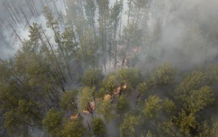 Пожежі в Чорнобильских лісах посилюються: NASA опублікувала фото з космосу