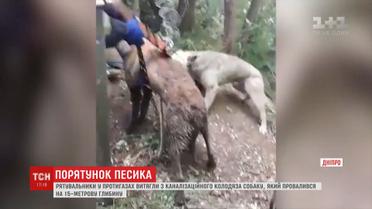 Рятувальники у протигазах витягли з підземелля собаку