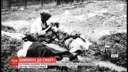 МИД РФ отказывается признать Голодомор 1932-2933 годов геноцидом украинского народа