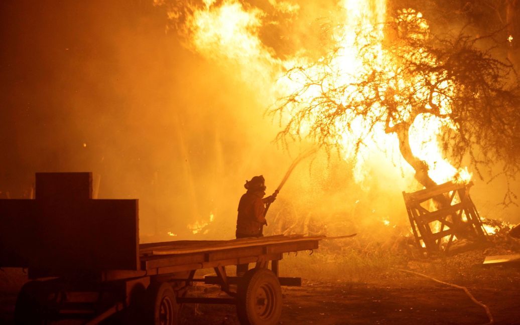 Пожежник намагається зупинити лісові пожежі в південних районах Чилі. / © Reuters