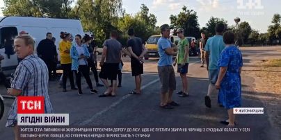 Новини України: в Житомирській області розгорілась війна за доступ до збирання чорниці
