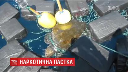 Береговая охрана США освободила черепаху, которая запуталась в пакетах с кокаином