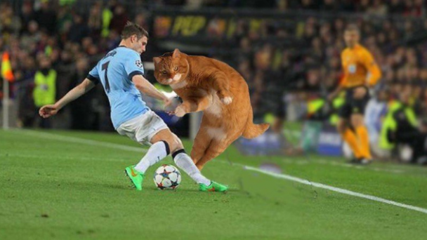 Кітіньо / © 101greatgoals