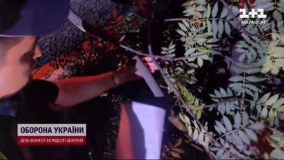 Дерево упало на людей в киевском парке