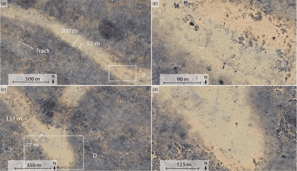 На західному боці рубця чітко видно циклоїдні мітки / © The Daily Galaxy