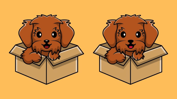 Швидкий тест для мозку Фото: Абмеєрвуд