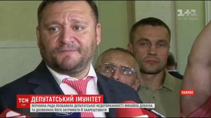 Верховная Рада дала согласие на арест и задержание Михаила Добкина