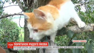 Цілу операцію розгорнули у Кривому Розі для порятунку кота Якова