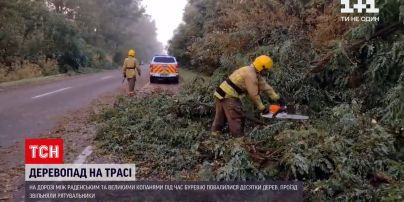 Новини України: внаслідок негоди у Херсоні повалило дерева, а в Одесі море вкрилося брудною піною