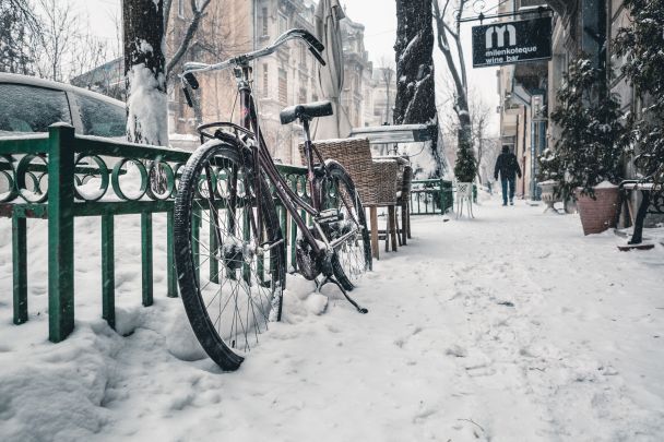 Какой праздник 4 декабря / © Pexels