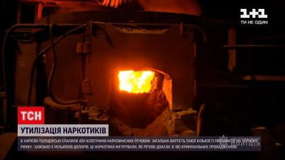 Харківські поліцейські спалили 400 кілограмів наркотиків | Новини України