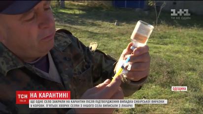 Спалах сибірки. На Одещині закрили на карантин ще одне село