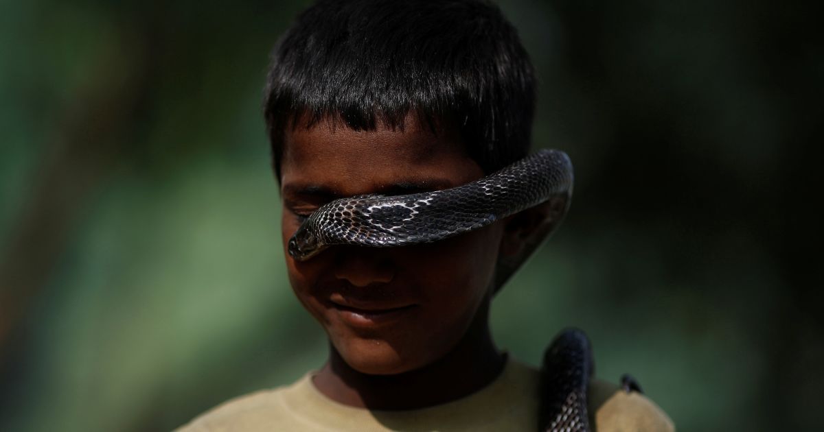 Діти бавляться зі зміями в Індії_8 / © Reuters