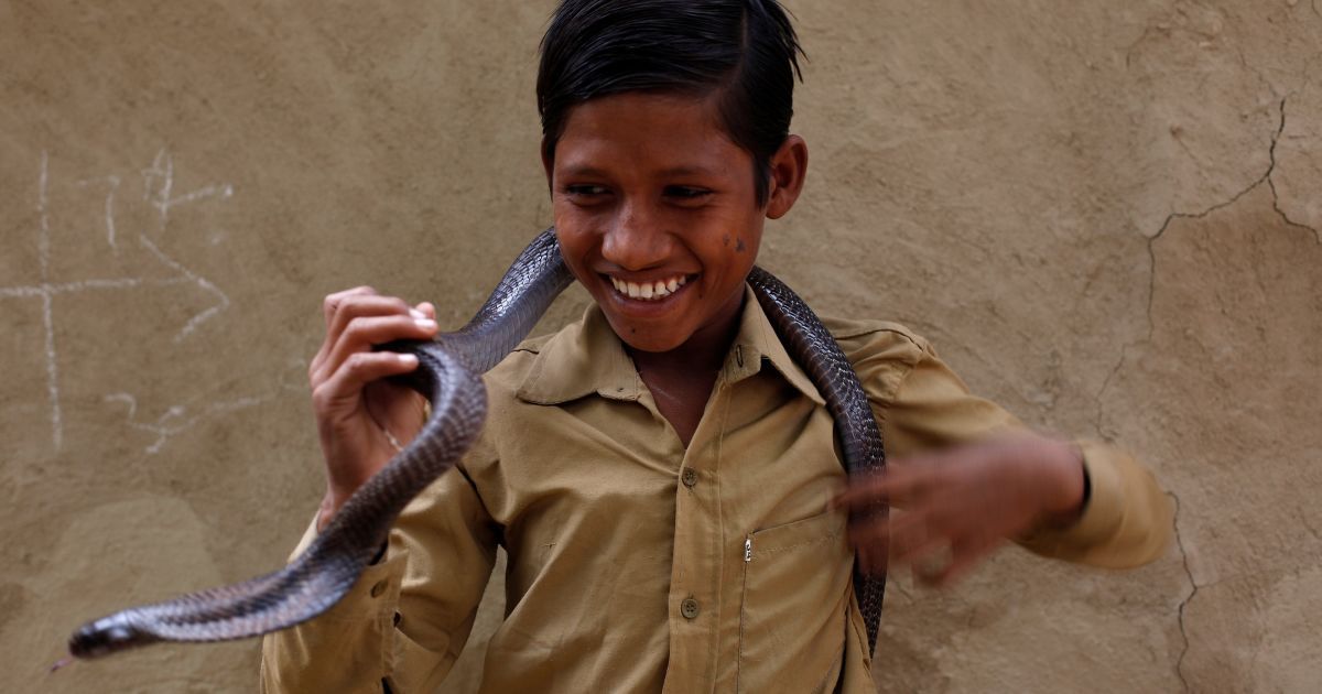 Діти бавляться зі зміями в Індії_10 / © Reuters