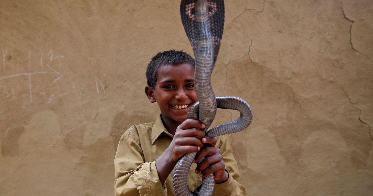 Діти бавляться зі зміями в Індії_11 / © Reuters
