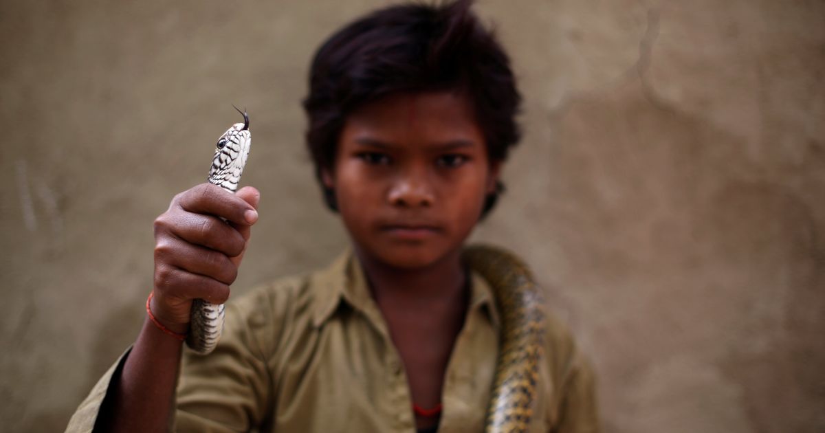 Діти бавляться зі зміями в Індії_13 / © Reuters