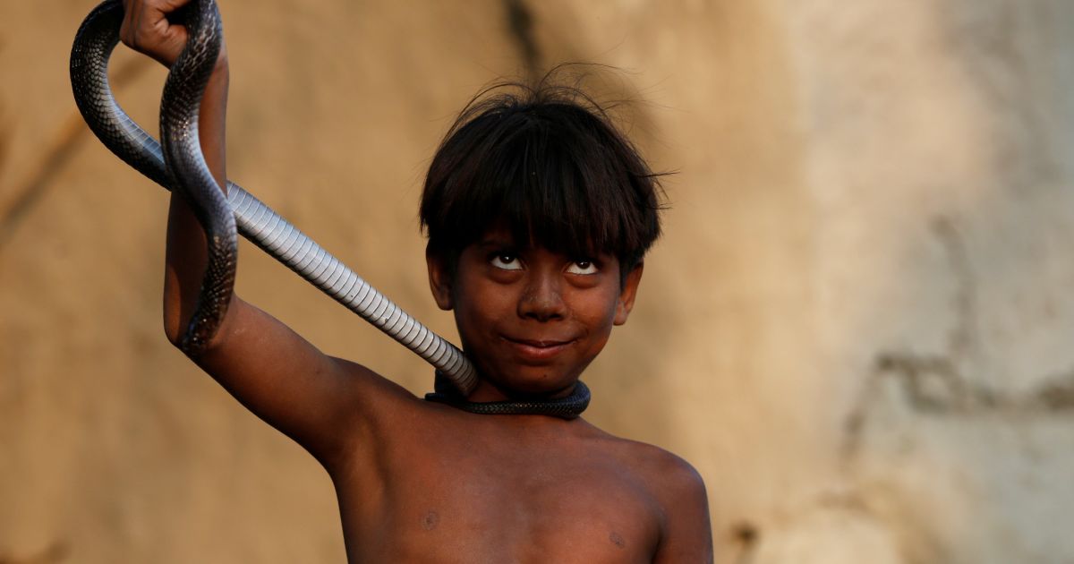 Діти бавляться зі зміями в Індії_7 / © Reuters