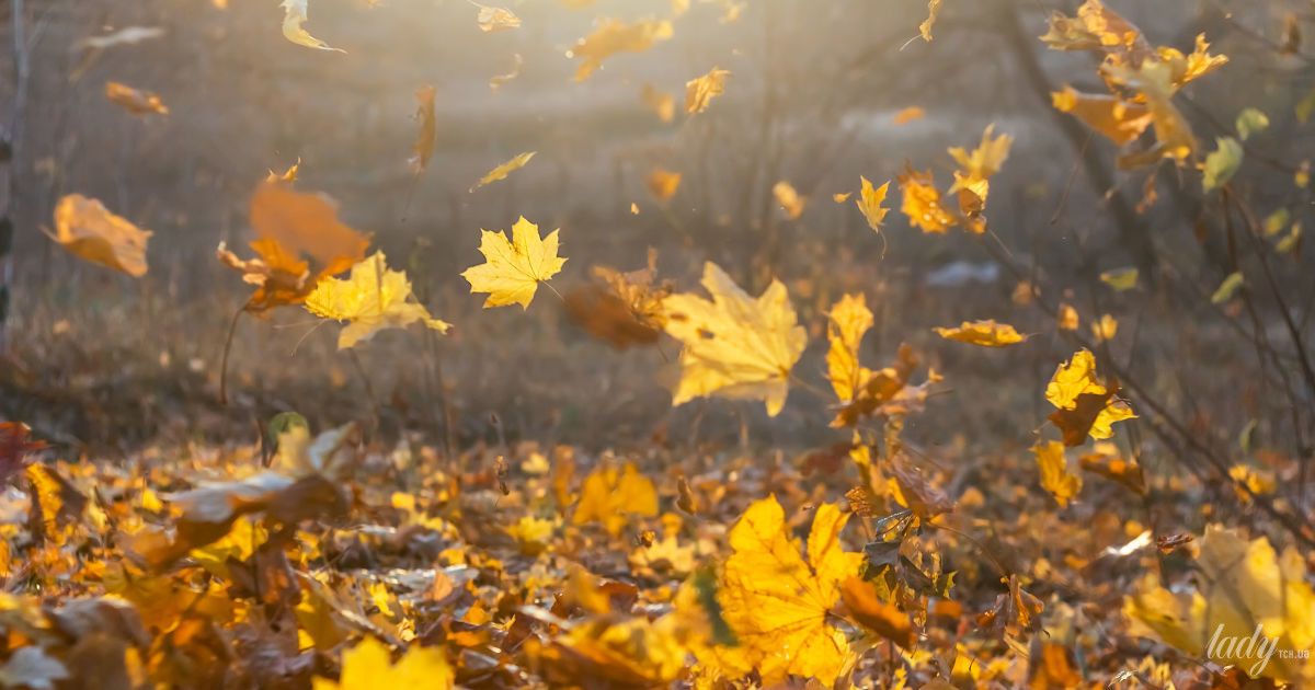 Опале листя