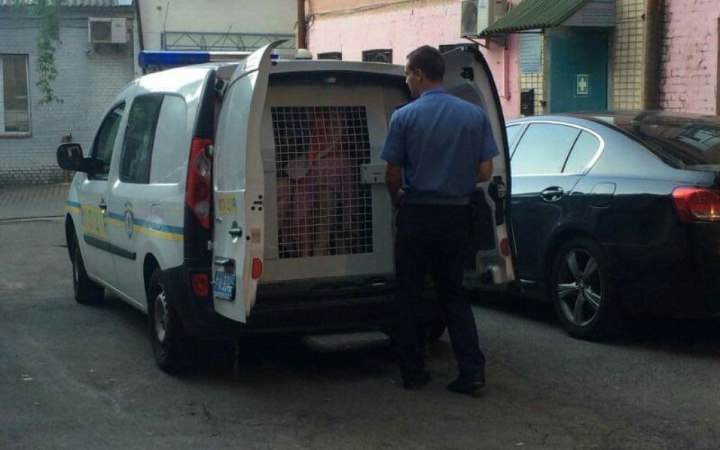 Правоохранители задержали семерых &quot;ночных бабочек&quot; / © ТСН.ua