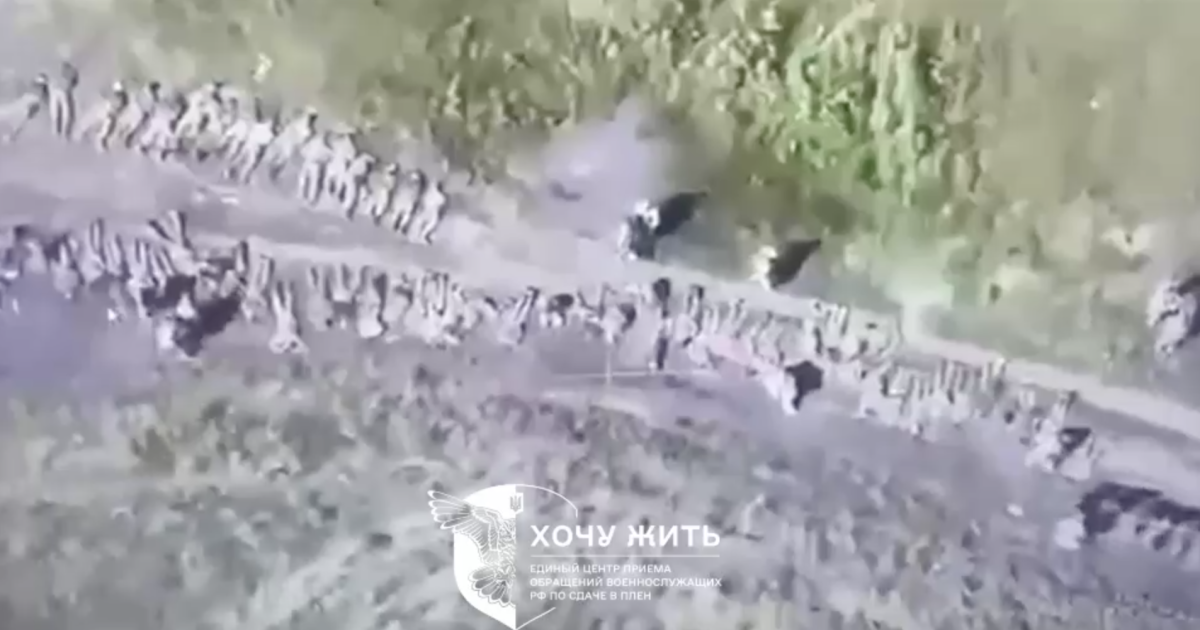 Более 100 российских военных сдались в плен в Курской области / Скриншот с видео
