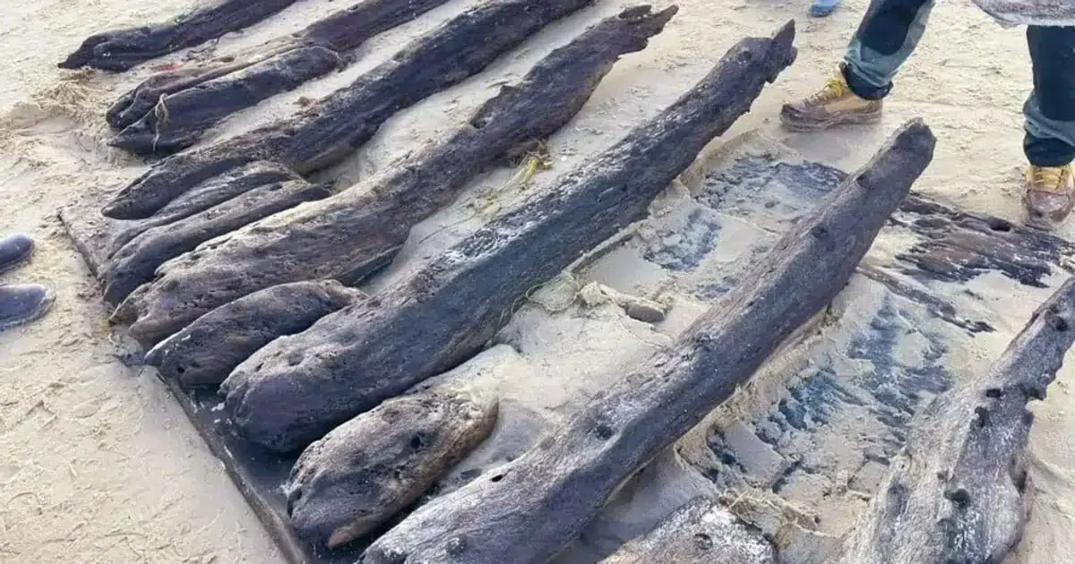 Залишки корабля. Фото: Борнмутський університет