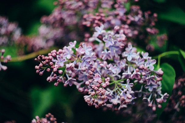 Народні прикмети 16 травня / © unsplash.com