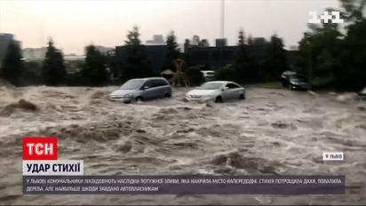 Во Львове дождь налил воды на улицах по пояс