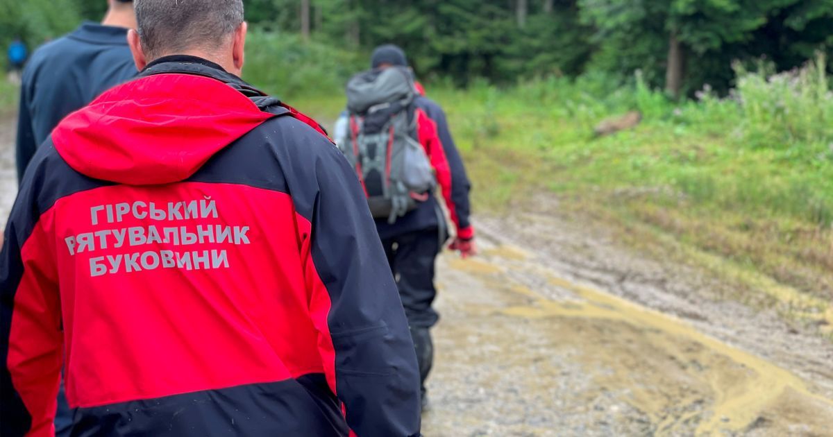 Пошуки зниклого грибника на Буковині_3 / © УГСЧС Украины в Черновицкой области