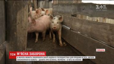 У парламенті зареєстрували законопроект про заборону продажу м'яса, забитого на власних дворах