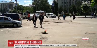 Герань высадили в выбоинах на дорогах Черновцов