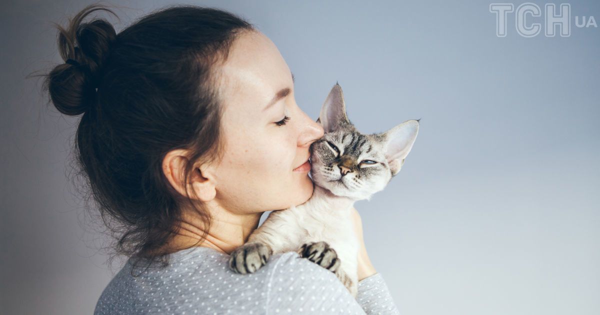 Do cats like to be kissed and how to understand that she is against