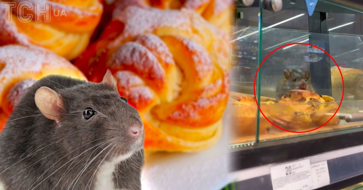Крыса ела булочку в сeпермаркете Киева/Коллаж ТСН.ua