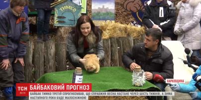 Харьковский сурок Тимка предсказал раннюю весну