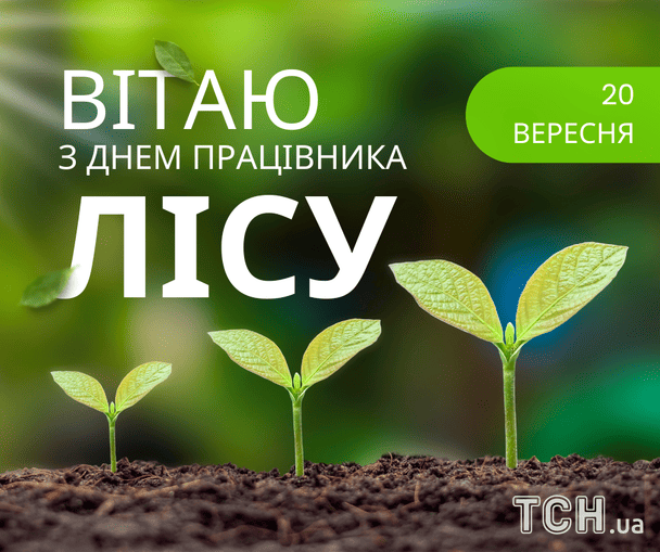 Листівки з Днем працівника лісу / © ТСН