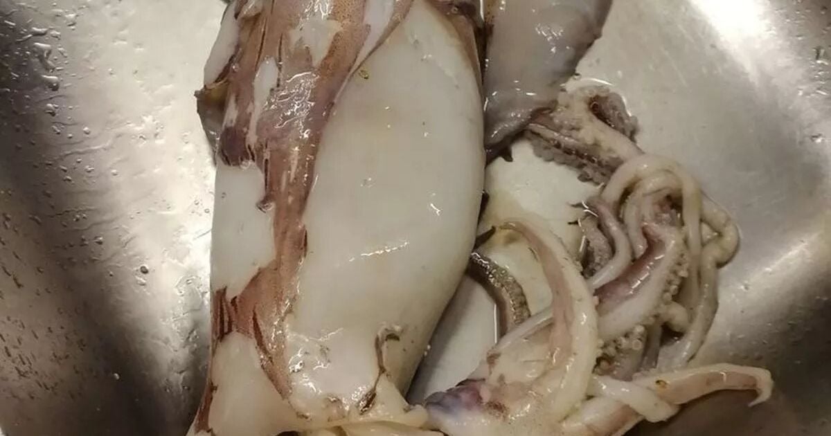 Мужчина нашел акулу внутри кальмара