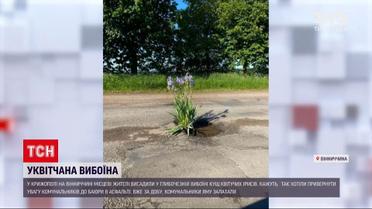 Новости Украины: в Крыжополе в глубокой выбоине посадили куст ирисов