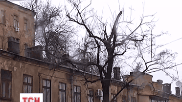 Львівська, Тернопільська та Закарпатська області залишилися без світла