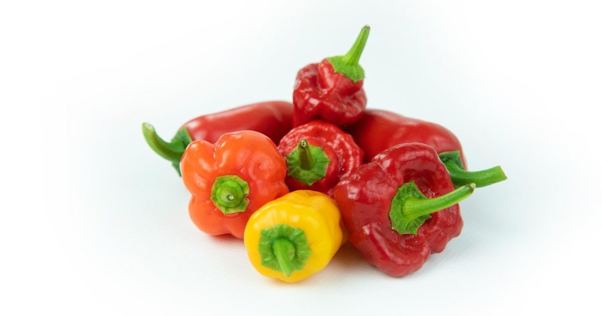 Какая разница между красным и зеленым болгарским перцем