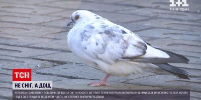Погода в Украине: в ближайшее время синоптики обещают отсутствие снега