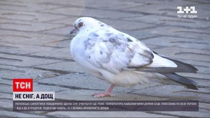 Погода в Україні: найближчим часом синоптики обіцяють відсутність снігу