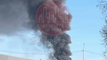 Бавовна Бавовна