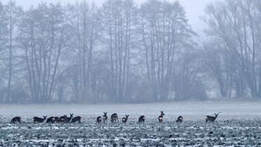 Непогода в Германии / © Reuters