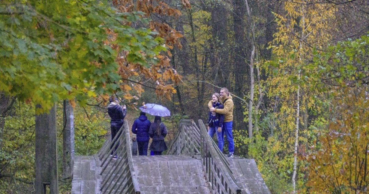 Заморозки, дощі та потепління. Синоптики спрогнозували погоду на півтора тижні наперед