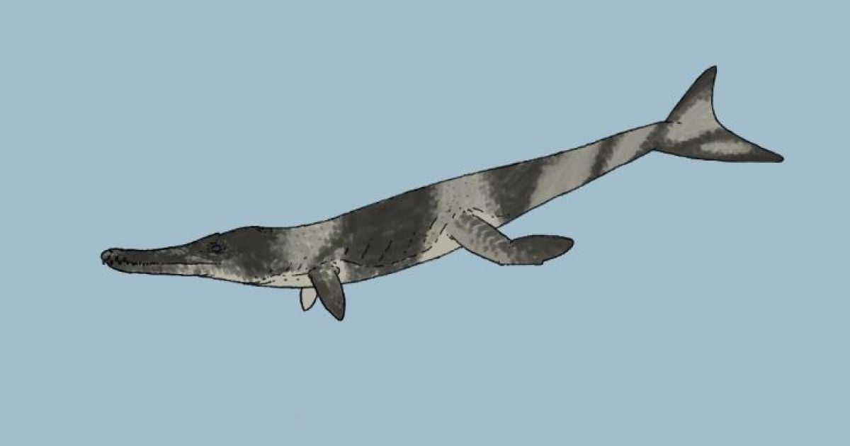 Древний морской крокодил жил на Земле 135 млн лет назад